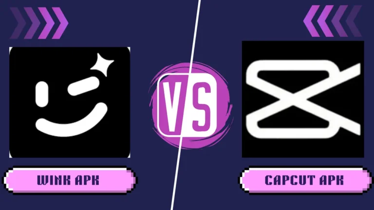 wink vs capcut